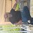 ���� Jemal, ������, 54 ���� - ��������� 31 ���� 2015