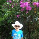    -  ,  -  4  2015    2014.  .  6-.