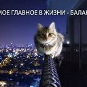     -  ,   :  ,    .    