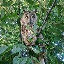  4 , , 56  -  13  2015    