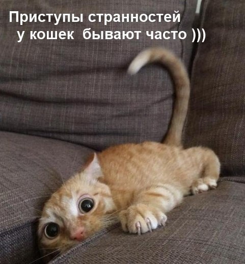       - 10  2015  15:04