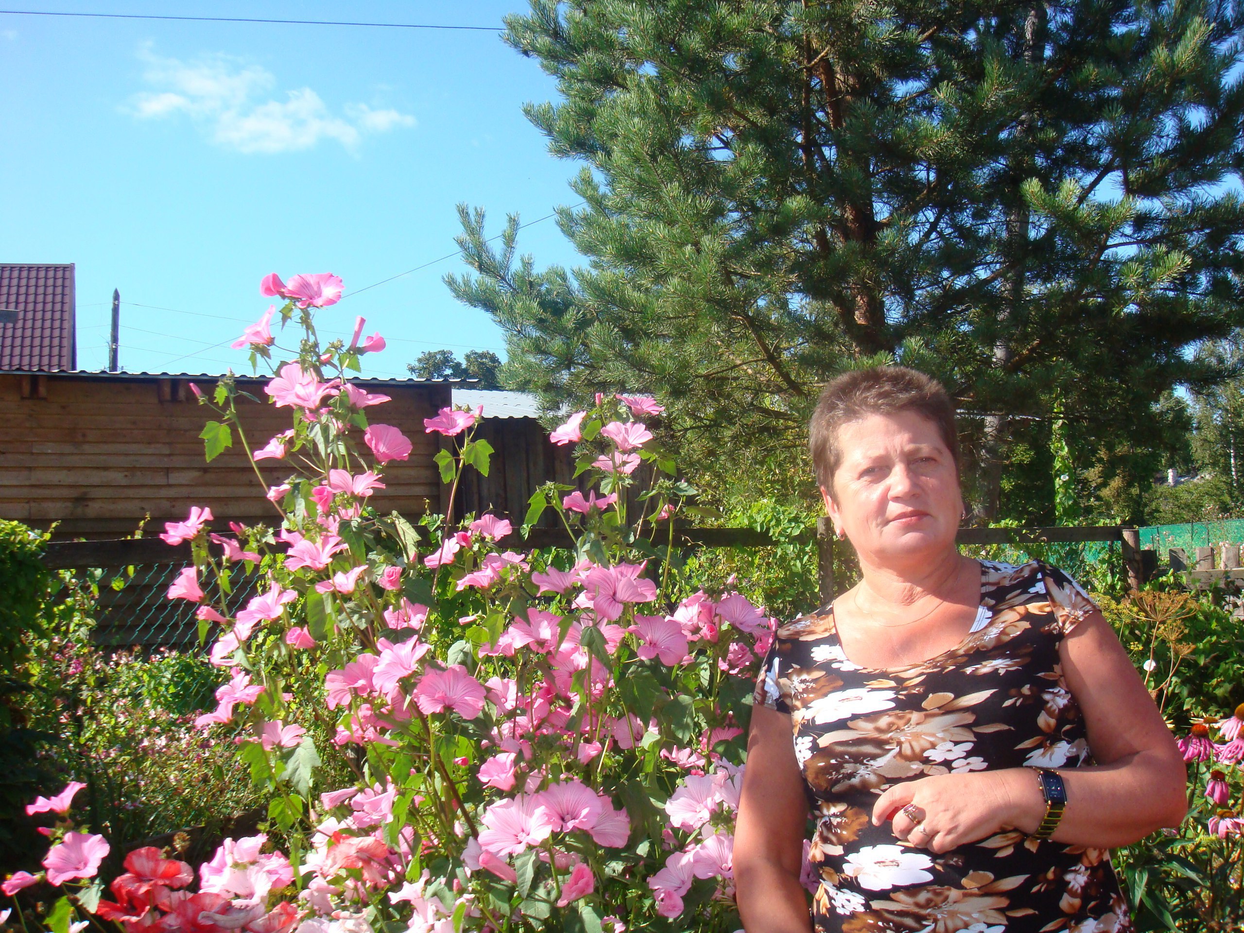 Mary(  ) - 19  2015  09:56