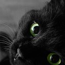   Mirror_return To River Of Flowers,  -  19  2015    