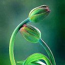 ���� ��������, ������, 48 ��� - ��������� 17 ���� 2015 � ������ ������ ��������