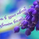 ���� ����, ����� - ��������� 18 ��� 2015 � ������ �������� ��������