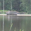 ���� ������, �����������, 55 ��� - ��������� 19 ���� 2015 � ������ ������������ 18.07.2015�