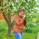 ���� �����, �������, 56 ��� - ��������� 31 ��� 2015