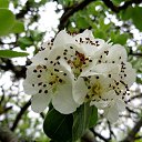  , , 60  -  7  2015       04.05.15.