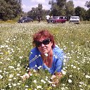 ���� �������, ������ - ��������� 6 ���� 2015