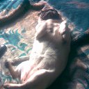 ���� ����, ���������, 60 ��� - ��������� 28 ���� 2015 � ������ ���� ����������