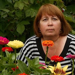 ���� �����, ����� - ��������� 25 �������� 2015