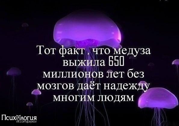  - 30  2015  01:12