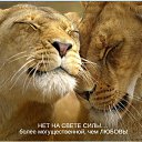 ���� ������, �������, 54 ���� - ��������� 17 ���� 2015 � ������ �������