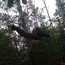 ���� �������, ����, 59 ��� - ��������� 29 ���� 2015 � ������ ���� ����������