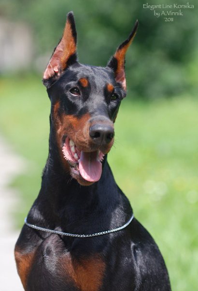 ����� ������� - 8 �������� 2015 � 18:05