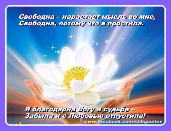 Алла Кемппи.ПРОСТИТЬПростить до капельки, до кончиков ногтей,Из сердца вытащить зудящую ...