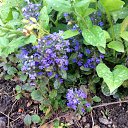 ���� Lubov, ������, 79 ��� - ��������� 28 ���� 2015 � ������ ���� ���