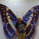 ���� ����, ������ - ��������� 17 ������� 2015 � ������ ���� ����������