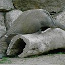 ���� ����������, ������, 63 ���� - ��������� 2 ���� 2015 � ������ ������ �������))�