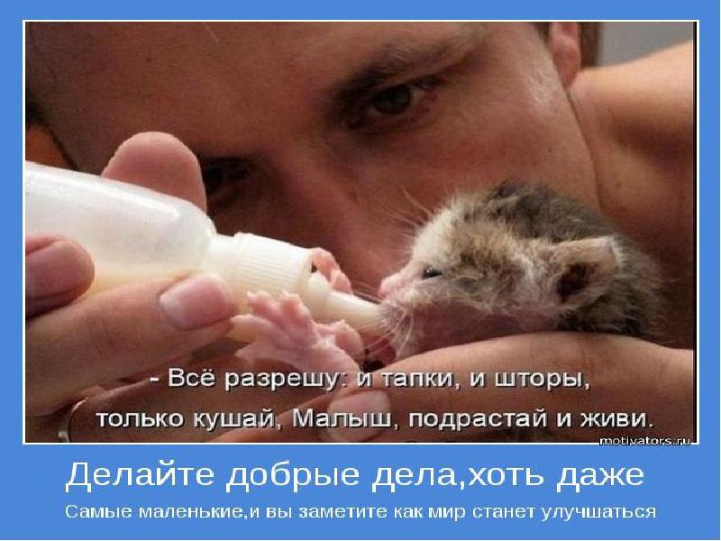 Дети самое дорогое. Дети хулиганы. У сильных мужчин рождаются дочки. И только тот сын. Когда у меня будет сын.