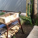 ��� �������������� ���������, ��������, ������� ��� �������! �� ������� ���������� ������: "������ ���������? ��������)))"�