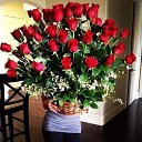 ���� �����, ���������� - ��������� 26 ��� 2015 � ������ ���� ����������