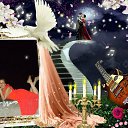 ���� �����, �����������, 48 ��� - ��������� 14 ������� 2015