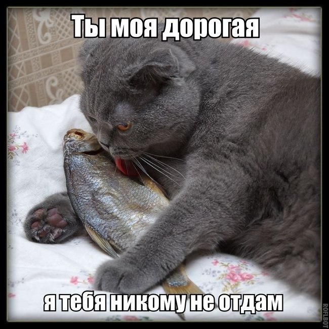 ������������ ���� - 30 ��� 2015 � 17:41