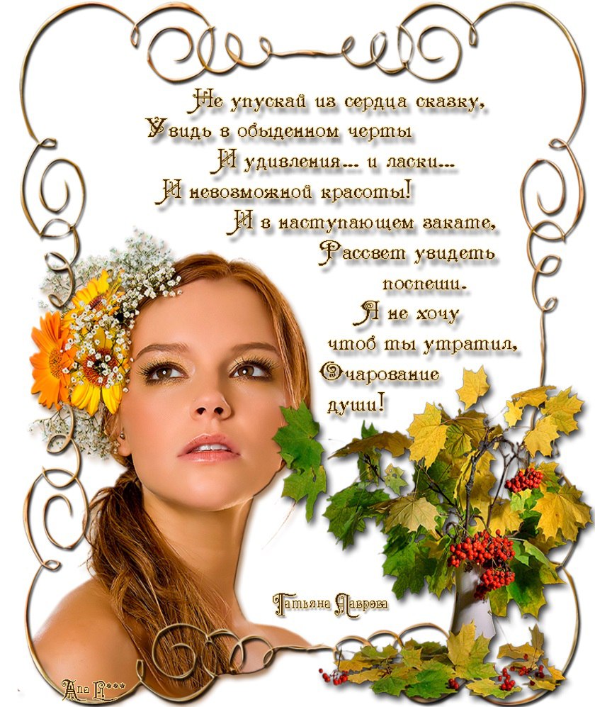   ,  ,       !   ,   ...