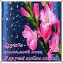 ���� ����, ��� - ��������� 27 ���� 2015 � ������ ���� ����������