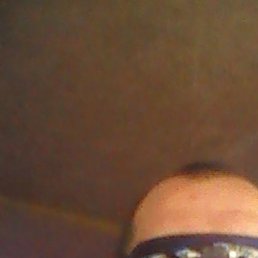 �����, ��������, 44 ����