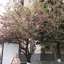 �����, �������� ������ �� ������� ���� ����������