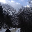  , --, 54  -  15  2015