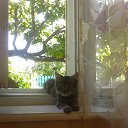 ���� Oleg, ��������, 47 ��� - ��������� 13 ������� 2015