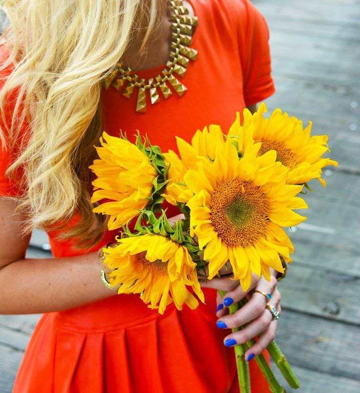 Beautiful Sunflower - 5