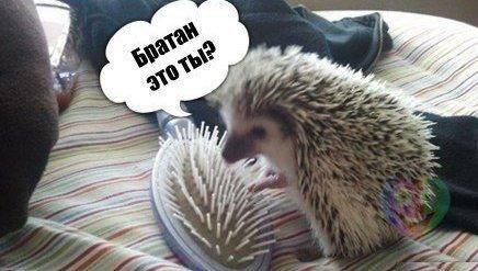 ���������..