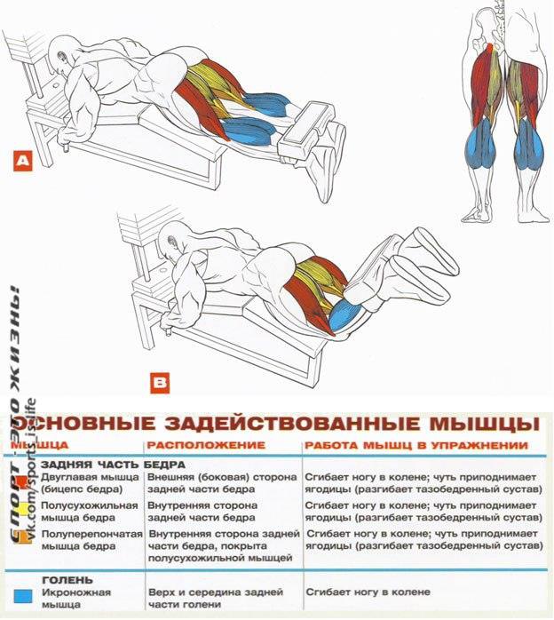  +    . 2#SPORT_@sports_is_life  - 6