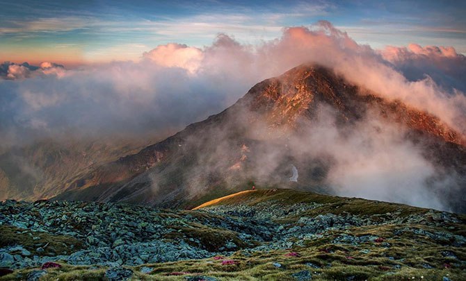   .    (Alex Robciuc)   .  ... - 6