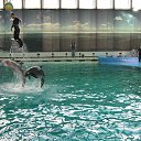 ���� ������, �����-���������, 70 ��� - ��������� 22 �������� 2015 � ������ �� ����������� �����-����������