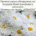 ���� �������, ����, 52 ���� - ��������� 20 ���� 2015 � ������ ������ ��������