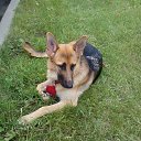 ���� ���������, �����-���������, 54 ���� - ��������� 21 ���� 2015 � ������ �����ʻ