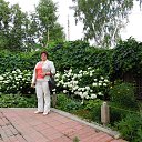 ���� �����, ���������� - ��������� 27 ������� 2015 � ������ ���� ����������