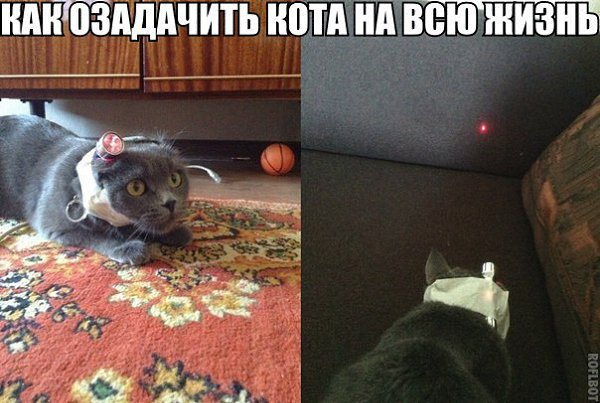 ������������ - 18 ��� 2015 � 10:20