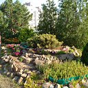 ���� ���������, �����, 68 ��� - ��������� 31 ������� 2015 � ������ ���� ����������