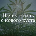  ******, - -  4  2015   ))))))))))