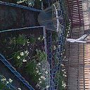 ���� �����, ������, 53 ���� - ��������� 15 ��� 2015 � ������ ���� ����������