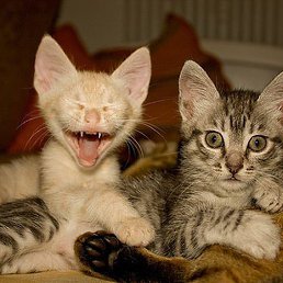 ���� �������, ������ - ��������� 5 �������� 2015