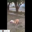 ���� Liana, �����������, 45 ��� - ��������� 19 ���� 2015 � ������ ������ ��������