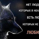 ���� �����, ������ ��������, 36 ��� - ��������� 9 ���� 2015 � ������ ������ ��������