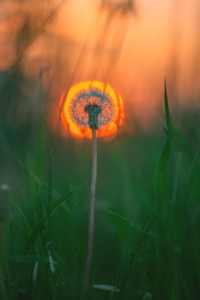   => https://fotostrana.ru/away?to=/sl/sA4 https://fotostrana.ru/away?to=/sl/rA4